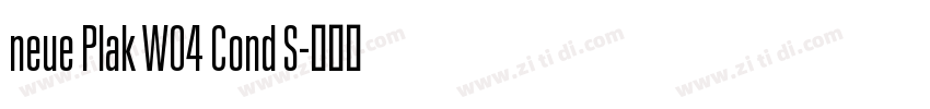 neue Plak W04 Cond S字体转换